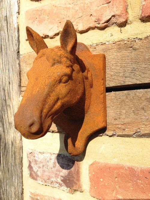 Buy wholesale Coat hook with horse's head, beautiful horse, barn