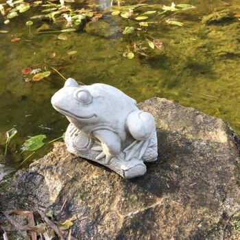 Figurines pour le jardin Figurines de bassin - décoration bassin de jardin grenouilles Grenouille