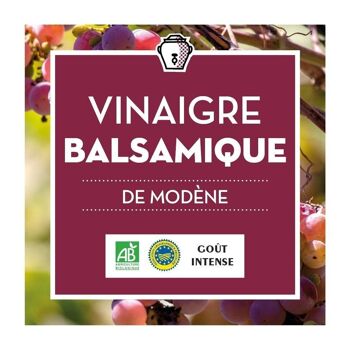 Vinaigre Balsamique de Modène - ACETO BALSAMICO DI MODENA IGP Densité 1.09 - BIO - BIB 10L 2