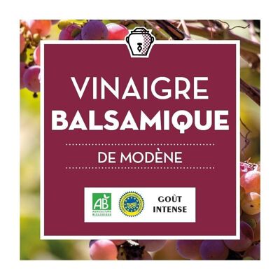 Balsamic Vinegar of Modena - ACETO BALSAMICO DI MODENA IGP Density 1.09 - ORGANIC - BIB 10L