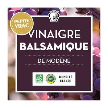 Vinaigre Balsamique de Modène - ACETO BALSAMICO DI MODENA IGP Densité 1.15 - BIO - BIB 10L 2