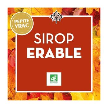 Sirop d'érable - Bio - BIB 5L 2
