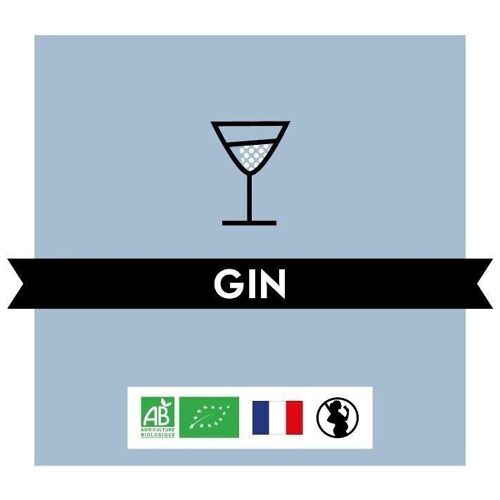 Gin Biologique 40% - Bio - BIDON 5L