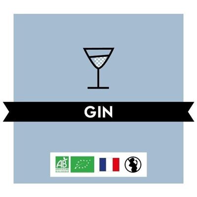 Gin Biologico 40% - Biologico - LATTA 5L
