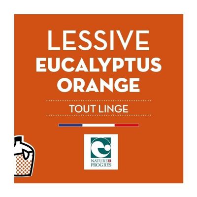Detergente líquido - Toda la ropa - Eucalipto y Naranja - Jabones Arthur - BIB10L