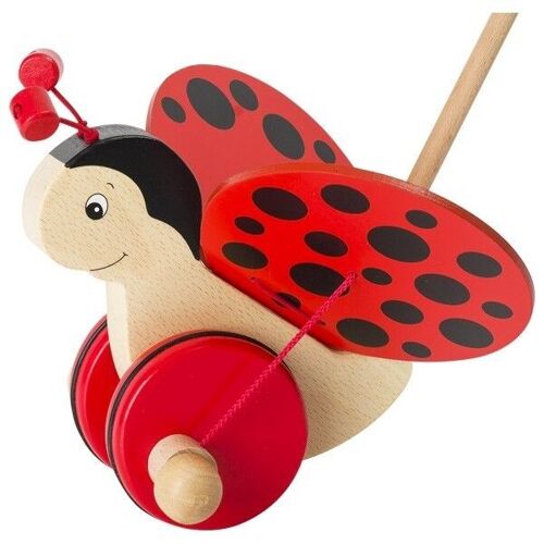 Push-Along Ladybird - Florah