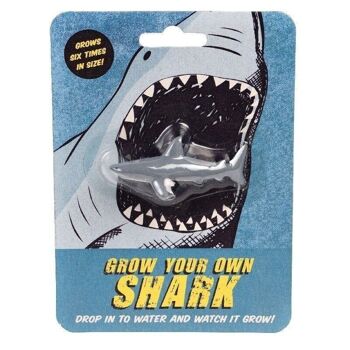 Cultivez votre propre jouet de requin 1