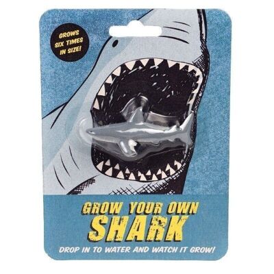 Cultivez votre propre jouet de requin