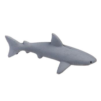 Cultivez votre propre jouet de requin 2