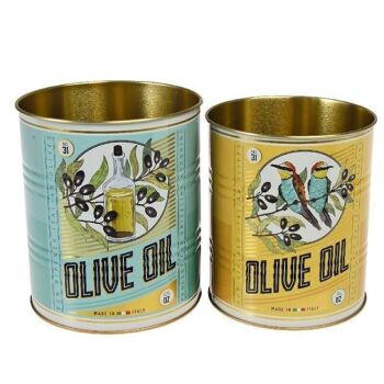 Boîtes de conservation (lot de 2) - Huile d'olive 1
