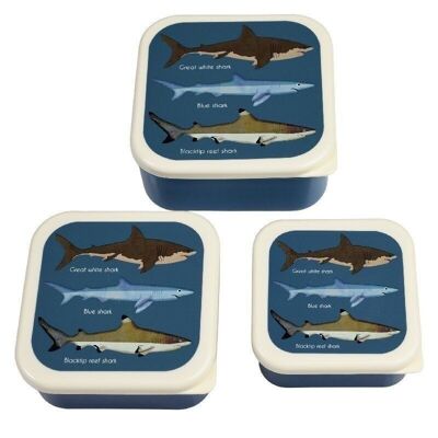 Boîtes à goûter (lot de 3) - Requins