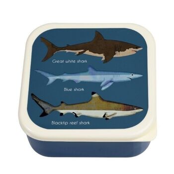 Boîtes à goûter (lot de 3) - Requins 3