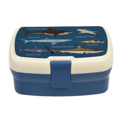 Lunchbox mit Tablett - Haie