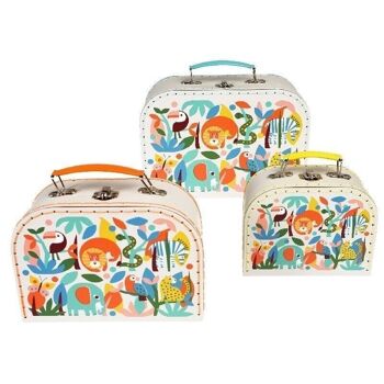 Coffrets de rangement (lot de 3) - Wild Wonders 4