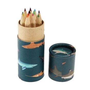Tube de crayons de couleur - Requins 3