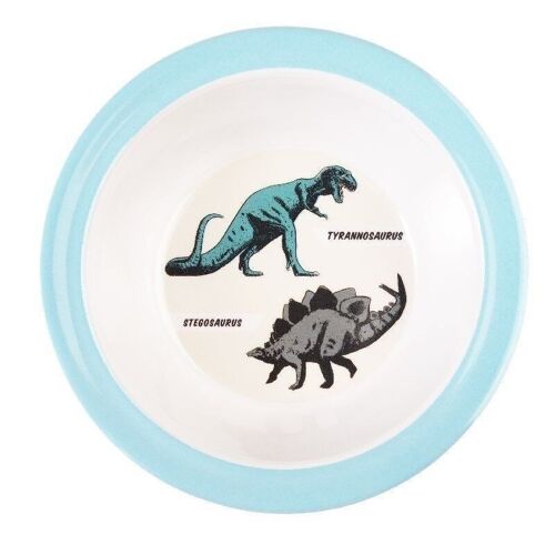 Melamine bowl - Prehistoric Land