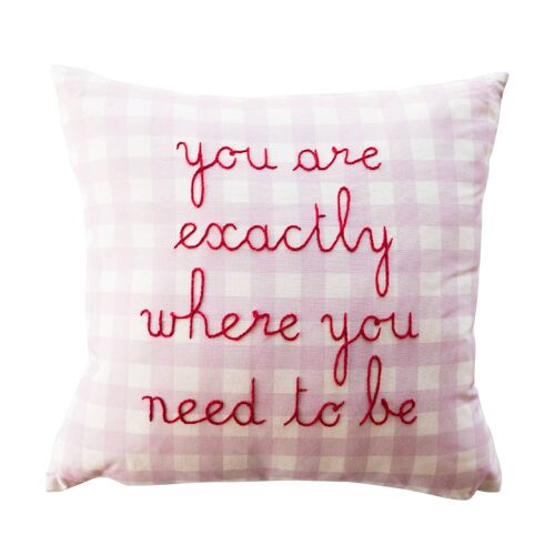 You Are Exactly Where You Need To Be Cushion Kit