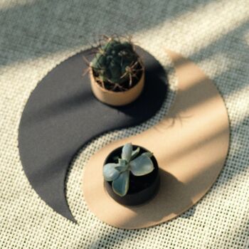 Duo pour Plantes Yin-Yang 2