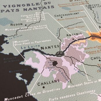 Carte des VINS DE LOIRE - Affiche 50x70cm 2