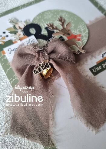 Ruban mousseline de soie - Taupe 3