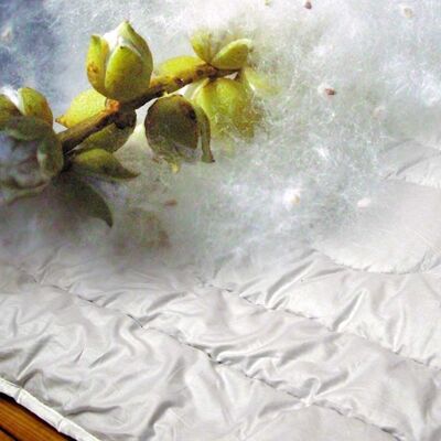 155 x 220 cm Poplar fluff®/cotton organic quilt medium in comfort size, item 7413225