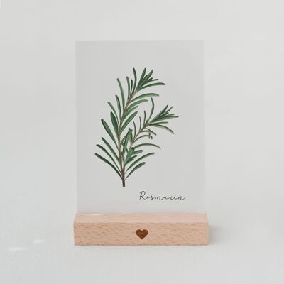 HERBAL CARD ROSEMARY