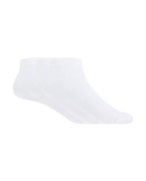 Pack de 3 calcetines de algodón lisos - Basix (Tobilleros)