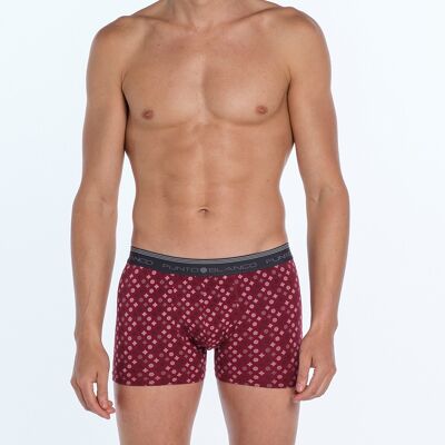 Lot de 2 boxers en coton bio, Peak