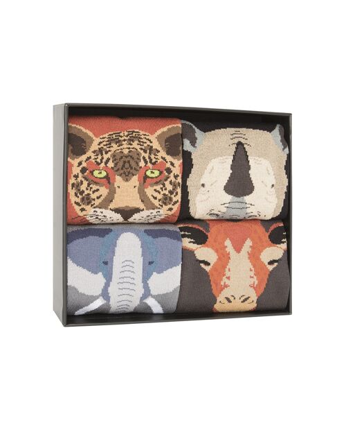Caja de 4 calcetines de algodón - Caja Wild Animals