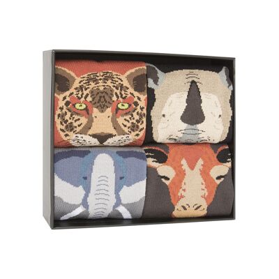 Box mit 4 Baumwollsocken - Box Wild Animals