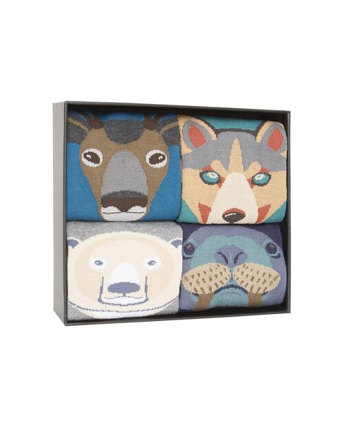 Caja de 4 calcetines de algodón - Caja Wild Animals 2