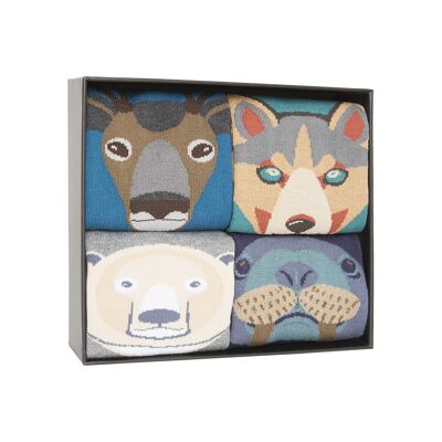 Box of 4 cotton socks - Box Wild Animals 2