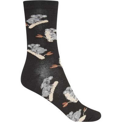 Chaussettes en coton - koala