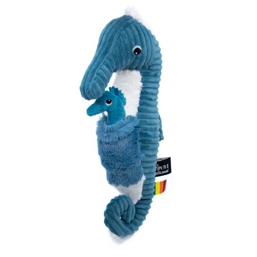 Papadou the Seahorse Dad and Fry - Blue