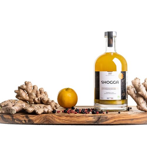 Jus de gingembre concentré/citron/curcuma- bio et artisanale - born in Franche-Comté - SHOGGA (FULL KIT) #APÉRITIF#DETOX#GIMBER BEER#GINGER