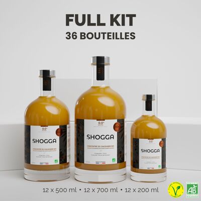Concentrated ginger/lemon/turmeric juice - organic and artisanal - born in Franche-Comté - SHOGGA (FULL KIT) #APERITIF#DETOX#GIMBER BEER#GINGER