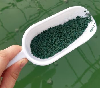 Spiruline en Brindilles VRAC