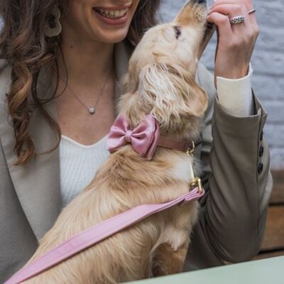 Hands-free dog leash Old Pink Satin