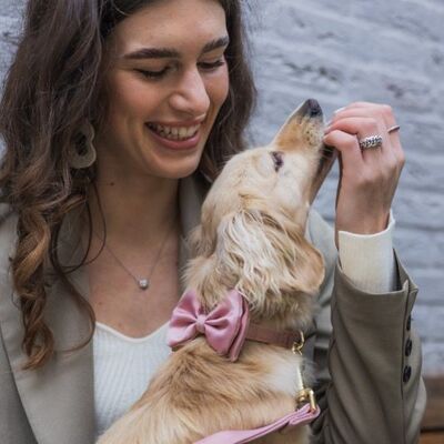 Hands-free dog leash Old Pink Satin