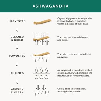 Supplément Ashwagandha – Bio – 30 Capsules 4