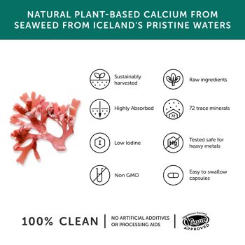 Calcium – Supplément de calcium végétalien – 60 gélules 3