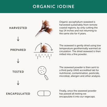 Supplément Iode – Bio – 30 Gélules 4
