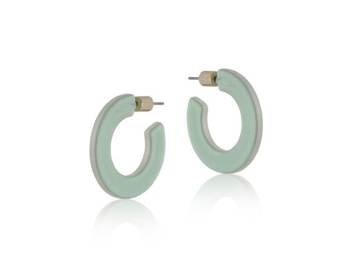 CHLOE RESIN HOOP EARRINGS 2497