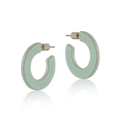 CHLOE RESIN HOOP EARRINGS 2497