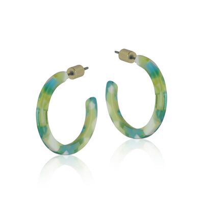 ABI RESIN HOOP EARRINGS 2479