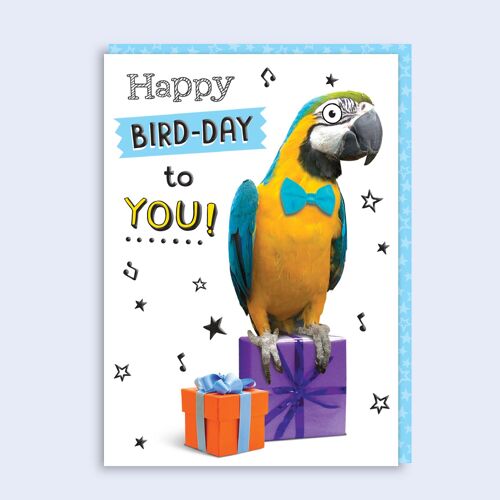 Just Fur Fun  Birthday Card  Happy Bird-day