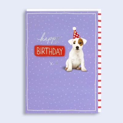 Juste pour dire une carte d'anniversaire de chien mignon