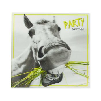 Une touche de couleur Cartes 3D Party Animal 1