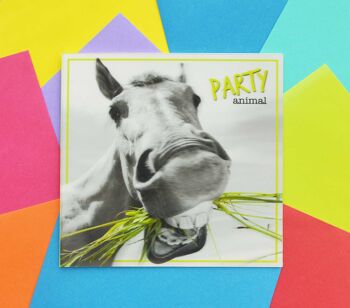 Une touche de couleur Cartes 3D Party Animal 7