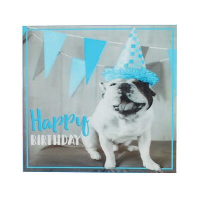 Ein Spritzer Farbe 3D-Karten Happy Birthday Dog Hat